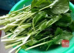 虾皮油麦菜的做法图解2