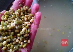 枸杞绿豆汤的做法图解2