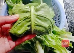 酿猪婆菜的做法图解6