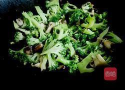 鲜冬菇炒西兰花的做法图解7