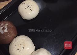 奶酪包的做法图解12