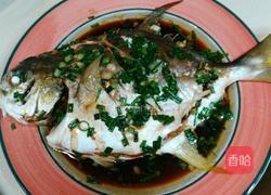清蒸仓鱼的做法图解4