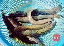 泥鳅淮山汤的做法图解5