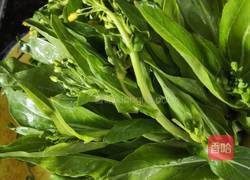 清灼油菜苔的做法图解1