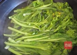 清灼油菜苔的做法图解2