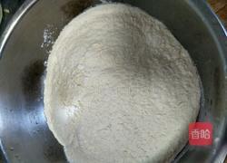 四鲜饺子的做法图解1