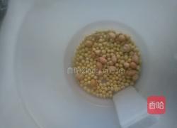 自制营养豆浆的做法图解2