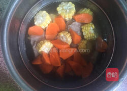 排骨玉米胡萝卜汤的做法图解4