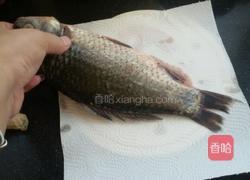 木瓜鲫鱼汤的做法图解2