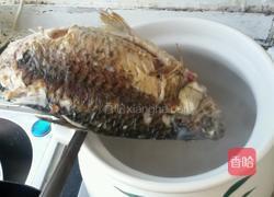 木瓜鲫鱼汤的做法图解7