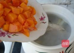 木瓜鲫鱼汤的做法图解15