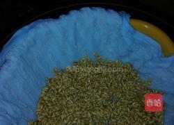 自制麦芽糖的做法图解2