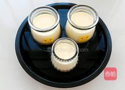 牛奶布丁的做法图解7