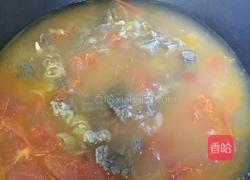 西红柿炖牛腩的做法图解18