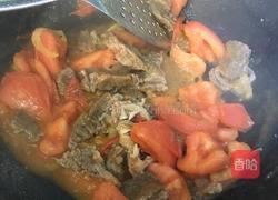 西红柿炖牛腩的做法图解16