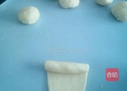 菊花酥的做法图解4