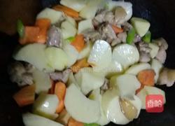 鸡肉炖土豆的做法图解6