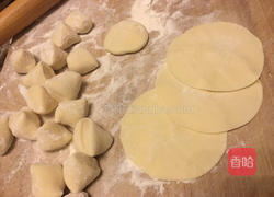 萝卜猪肉水饺的做法图解10