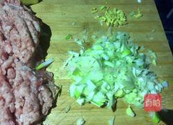 猪肉白菜包子的做法图解4