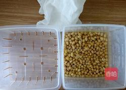 自制豆付脑的做法图解1