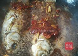 香芹烧河鲫鱼的做法图解6