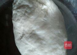 白菜猪肉饺子的做法图解1