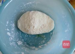 白萝卜肉馅菜饺子的做法图解6