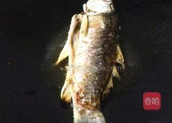 鲫鱼金针菇汤的做法图解5