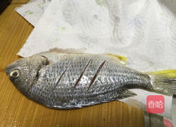 煎黄翅鱼的做法图解1