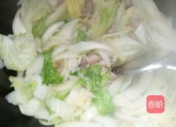 猪肉炒白菜的做法图解9