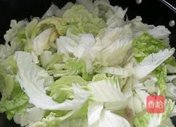 猪肉炒白菜的做法图解8