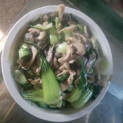 平菇油菜