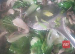 平菇油菜的做法图解7