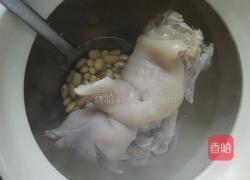 黄豆猪蹄催乳汤的做法图解4