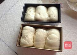 蔓越莓吐司的做法图解7