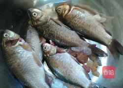 鲫鱼冬瓜养生汤的做法图解1