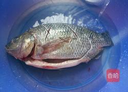 香煎罗非鱼的做法图解1