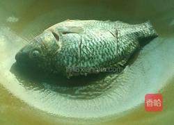 香煎罗非鱼的做法图解4