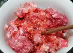 手工蜜汁猪肉脯的做法图解2