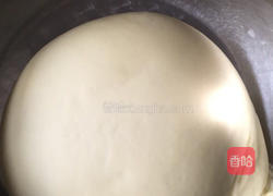 平菇披萨的做法图解7