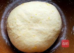 招财金猪小馒头的做法图解4