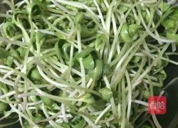 炒绿豆芽的做法图解1