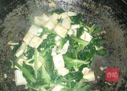 菠菜豆腐菜的做法图解6