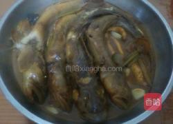 红烧沙光鱼的做法图解8
