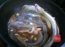 红烧沙光鱼的做法图解6