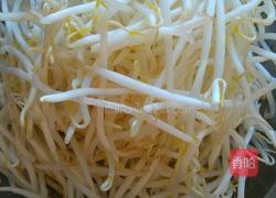 凉拌豆芽的做法图解1