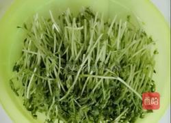 上汤豌豆苗的做法图解1