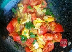 蕃茄炒蛋的做法图解5