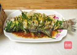 清蒸鲈鱼的做法图解14