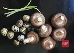 鹌鹑蛋蒸香菇的做法图解1
